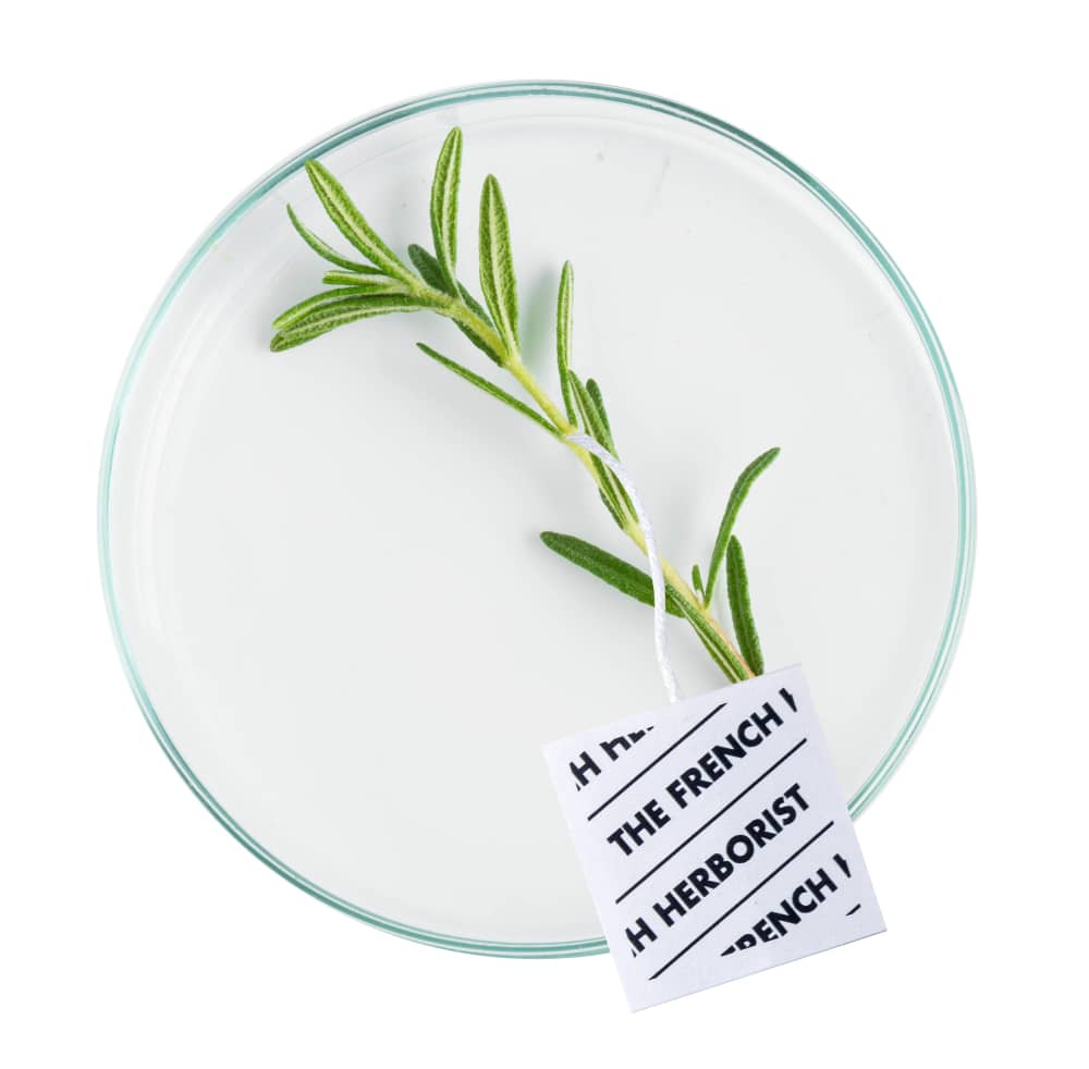 Plante et laboratoire | The French Herborist Thés et Tisanes Biologiques